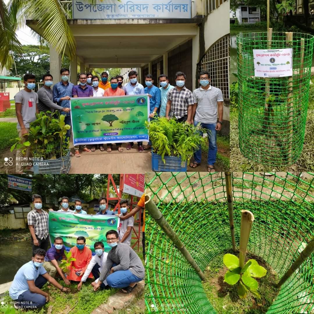 দ্বীপশিখা উদ্যোগে কুতু্বদিয়ায় বৃক্ষরোপন...